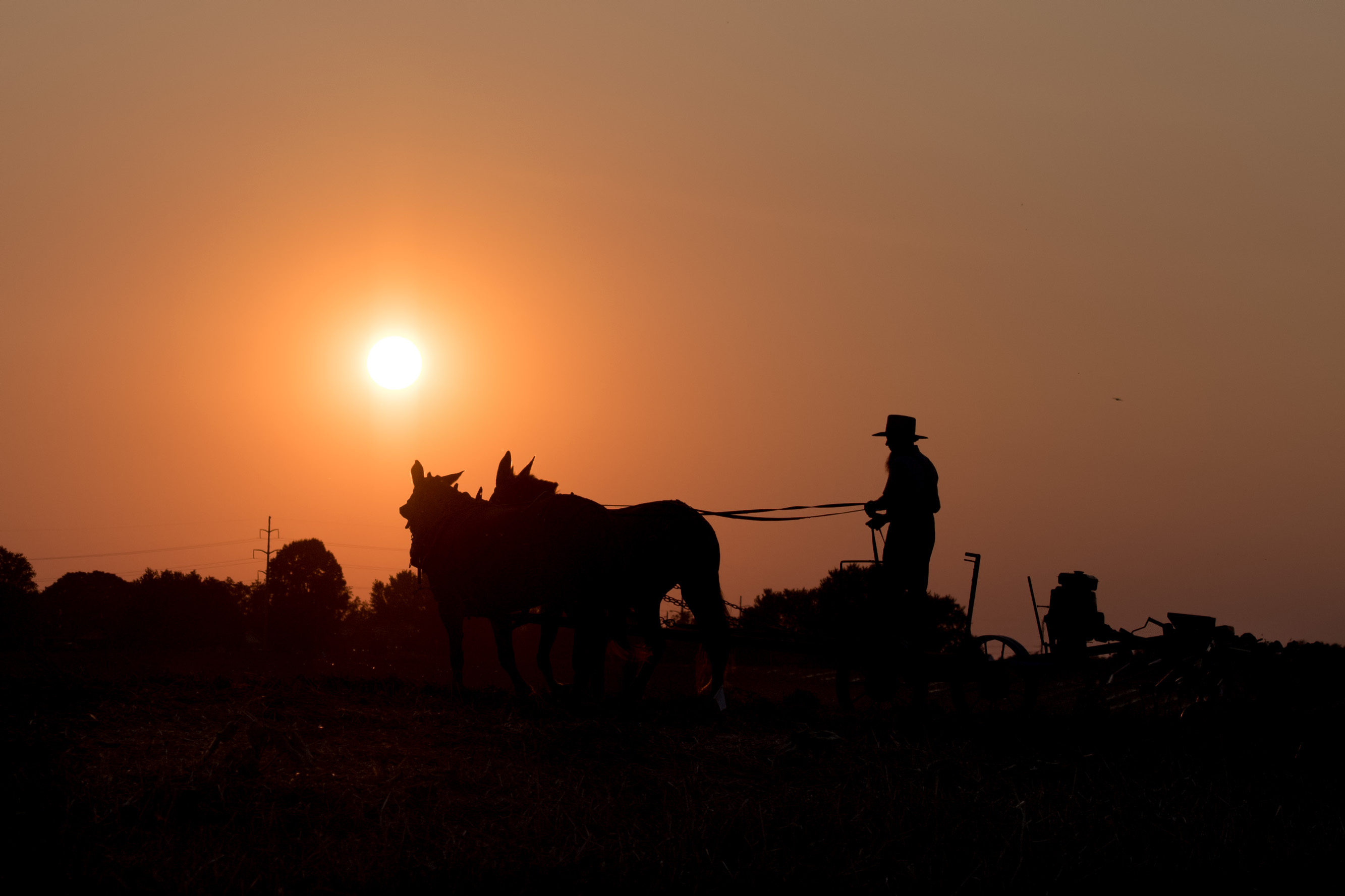 #13 – The Insustainability of Making America Amish